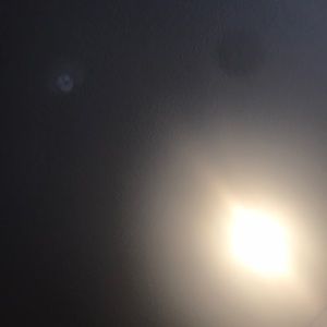 Meet your Posher, Colby